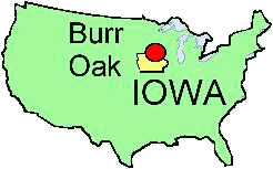 Burr Oak